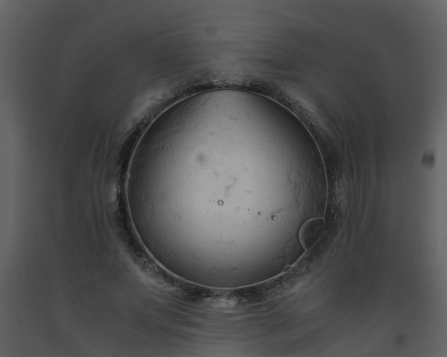 X0000093590687200710221524