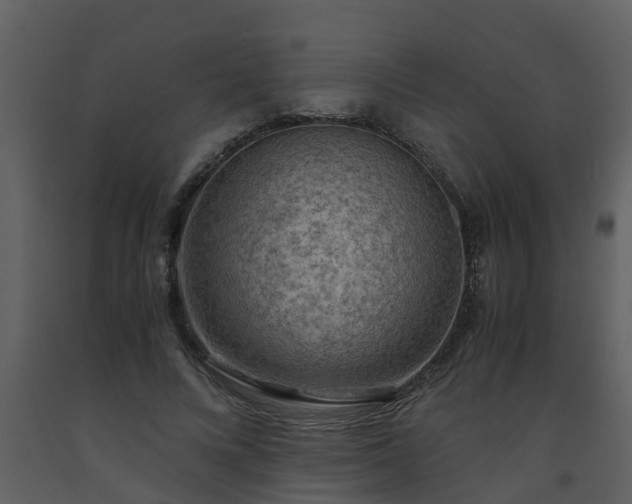 X0000093590688200710221524
