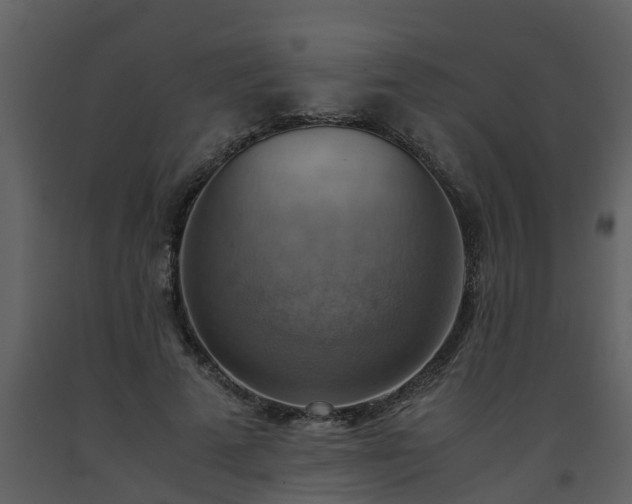 X0000093590689200710221524