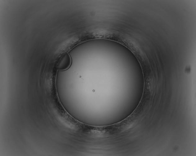 X0000093590690200710221523