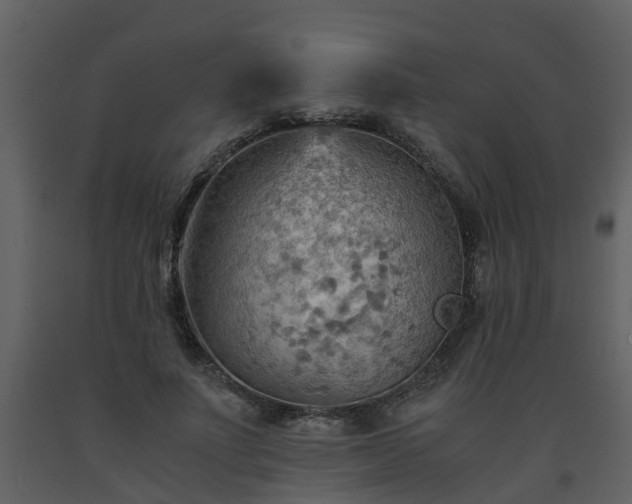 X0000093590691200710221523