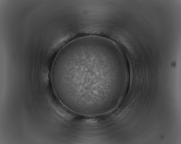 X0000093590692200710221523