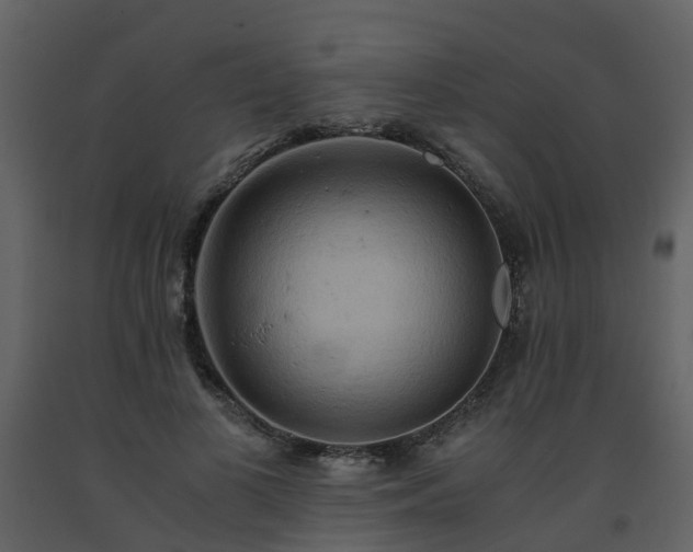 X0000093590693200710221523