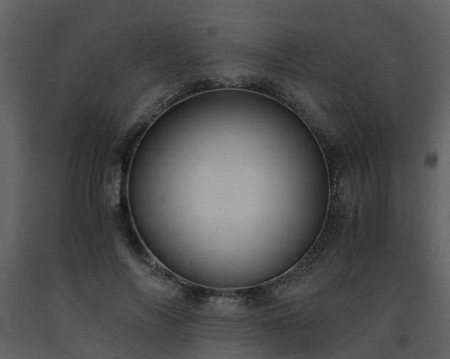 X0000093590694200710221523