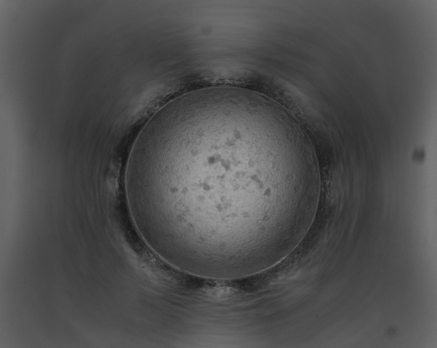 X0000093590695200710221523