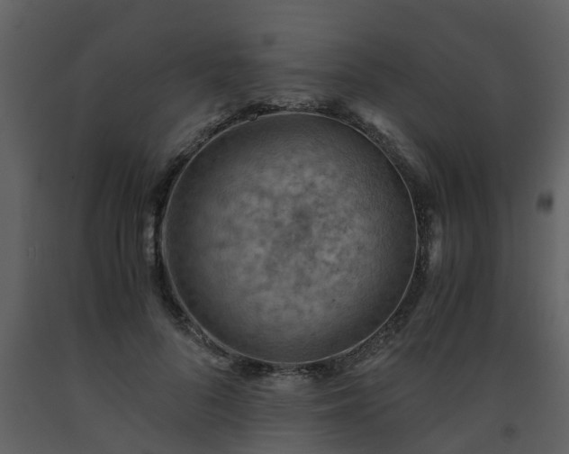 X0000093590696200710221523