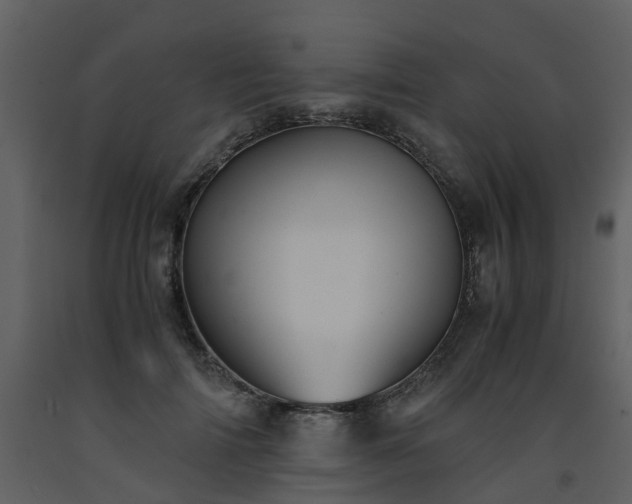 X0000093590698200710221523