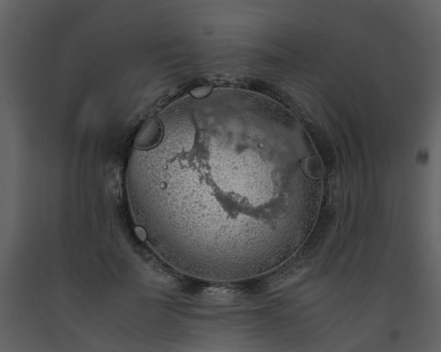 X0000093590699200710221523