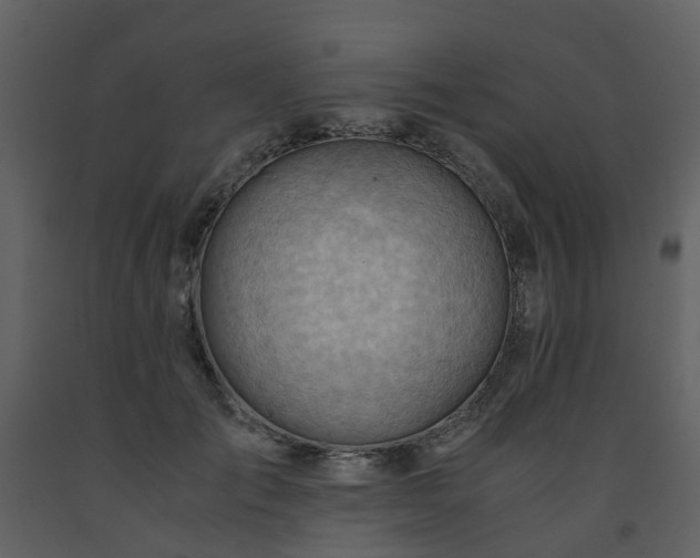 X0000093590701200710221523