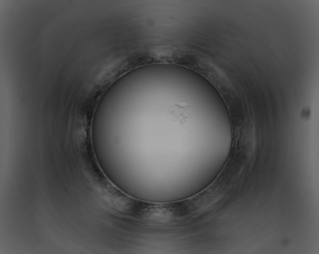 X0000093590702200710221523