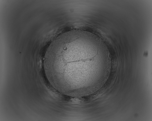 X0000093590703200710221523