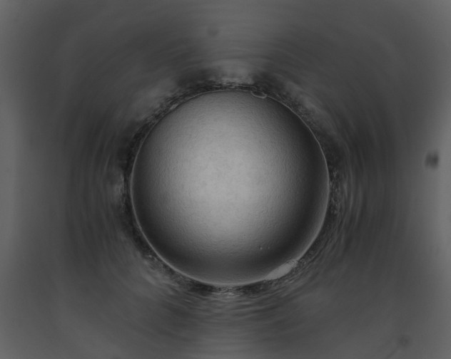 X0000093590704200710221523