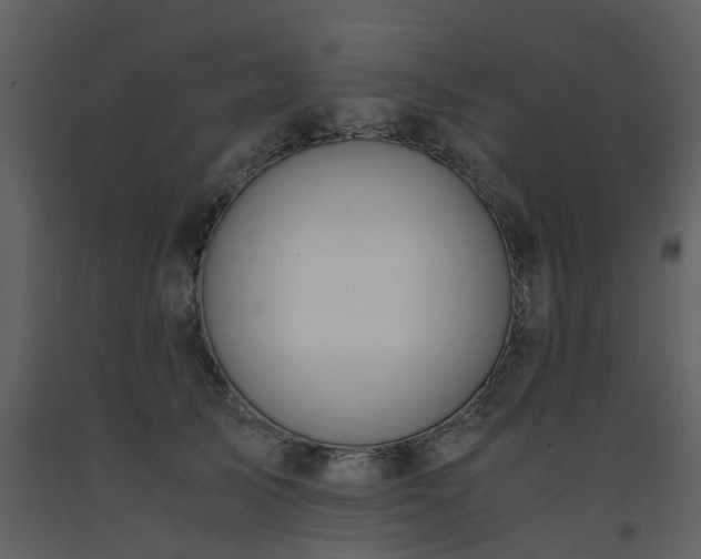 X0000093590705200710221523