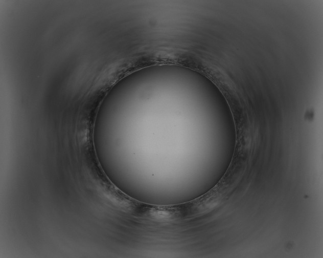 X0000093590706200710221523