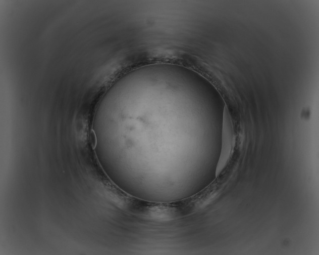 X0000093590708200710221523