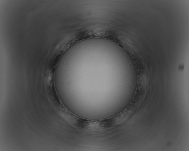 X0000093590709200710221523