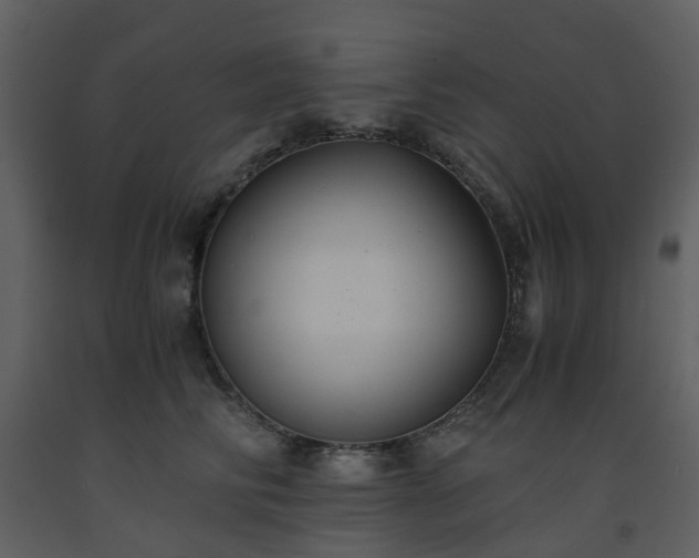 X0000093590710200710221523