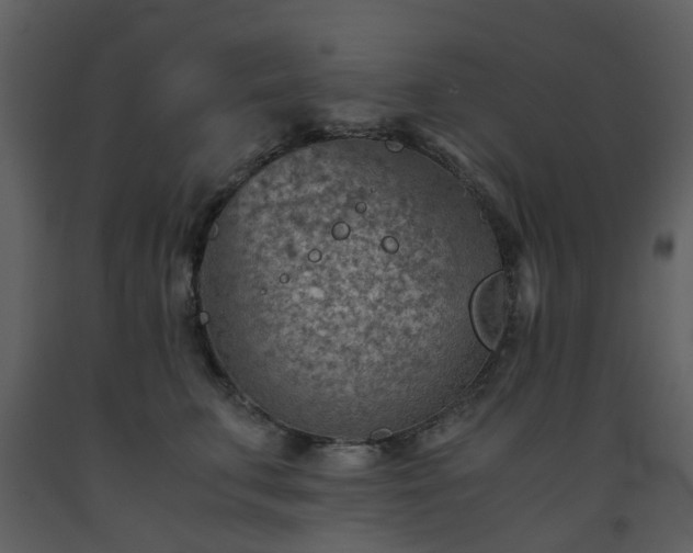 X0000093590711200710221523