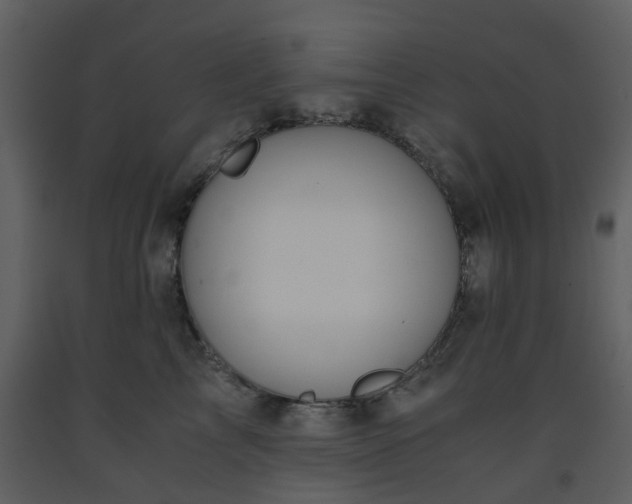 X0000093590713200710221523