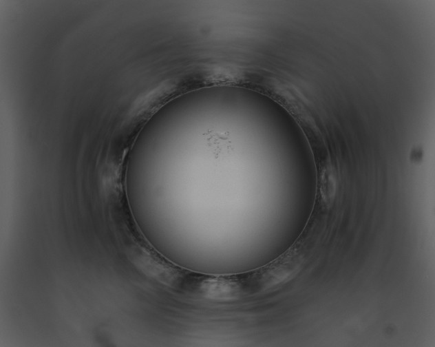 X0000093590714200710221523