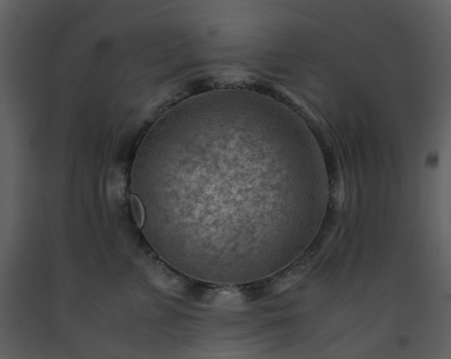 X0000093590715200710221523