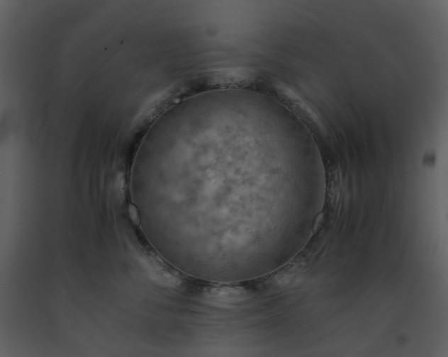 X0000093590716200710221523