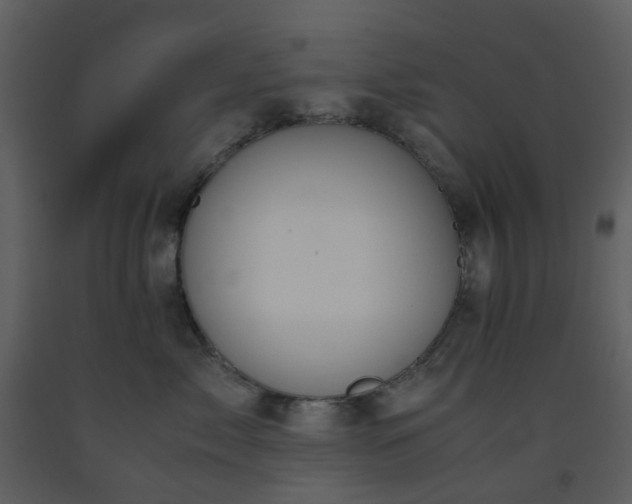 X0000093590717200710221523