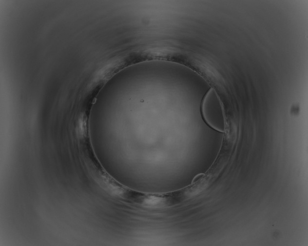 X0000093590718200710221523
