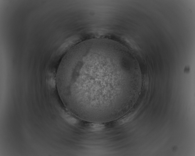 X0000093590719200710221523