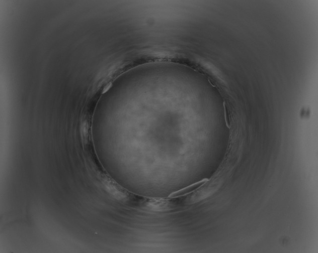 X0000093590720200710221523