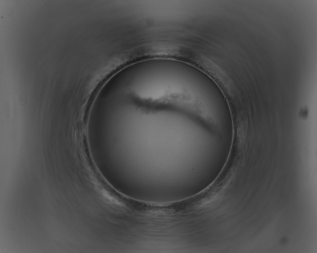 X0000093590721200710221523