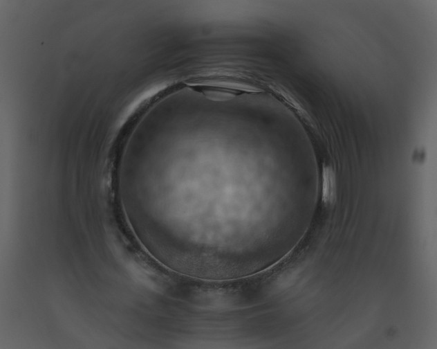 X0000093590723200710221523