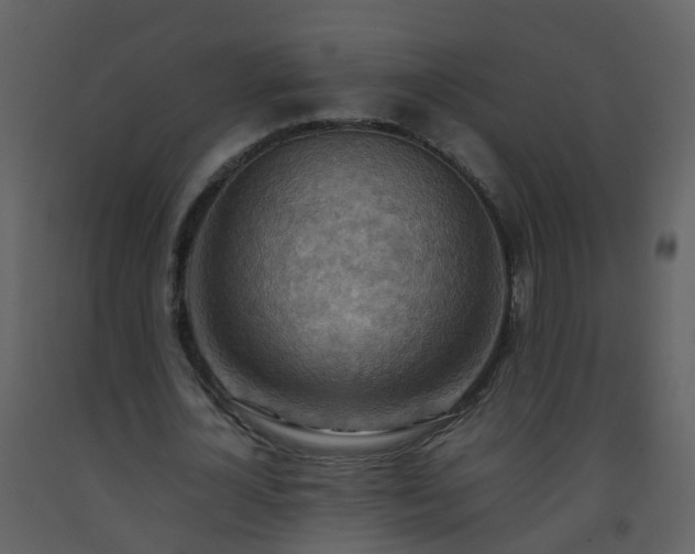 X0000093590724200710221523