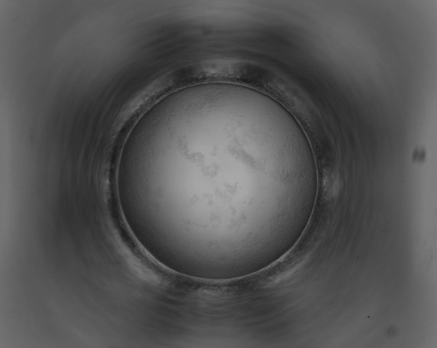 X0000093590725200710221523