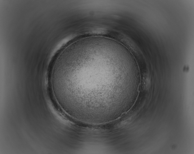 X0000093590726200710221523