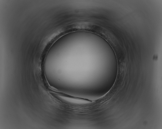 X0000093590727200710221523