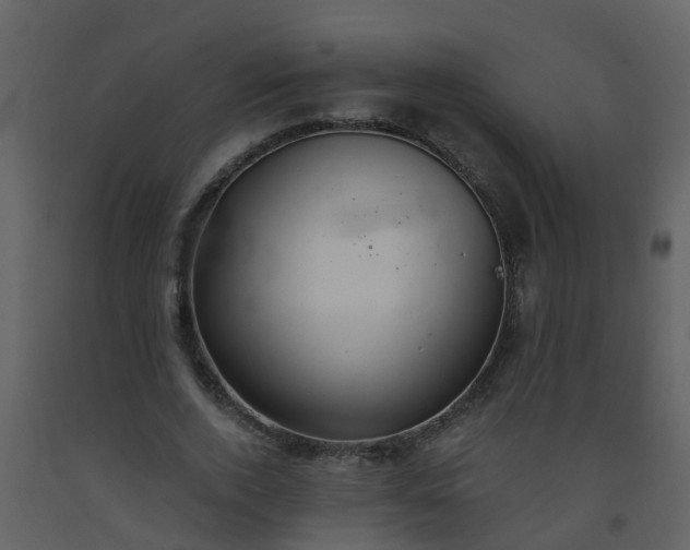 X0000093590728200710221523