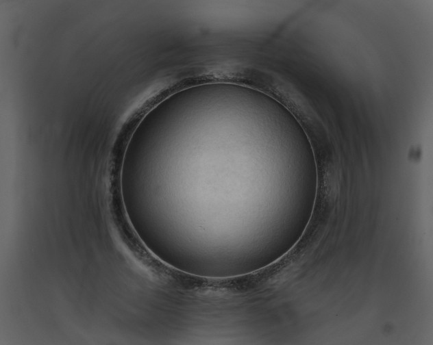 X0000093590730200710221523