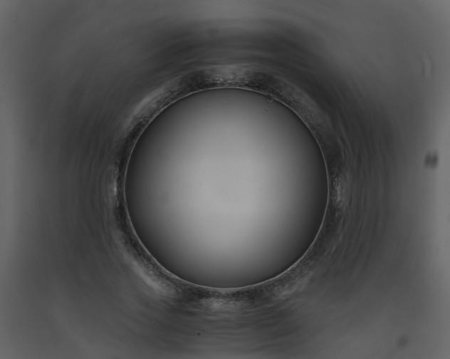 X0000093590733200710221523
