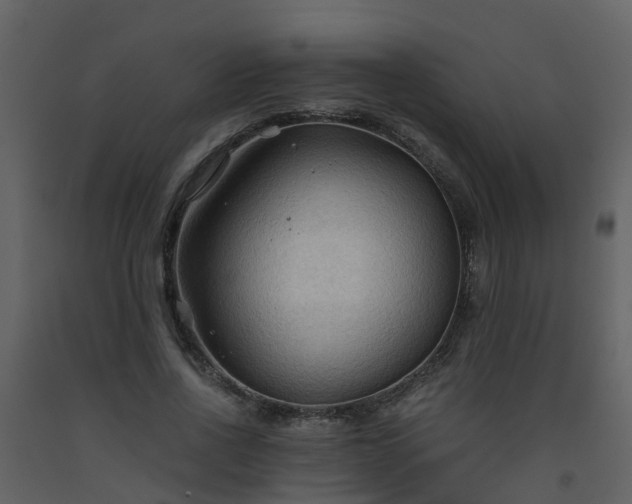 X0000093590734200710221523