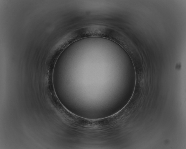 X0000093590735200710221523