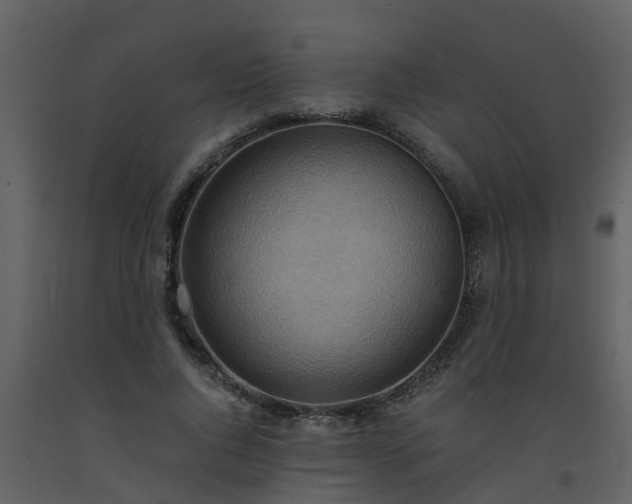 X0000093590736200710221523