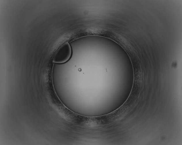 X0000093590738200710221523