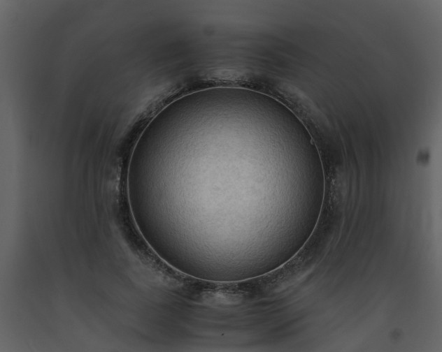 X0000093590739200710221523