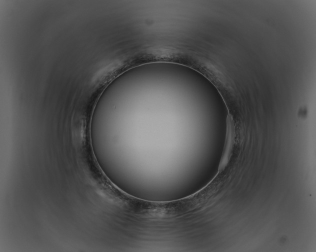 X0000093590740200710221523