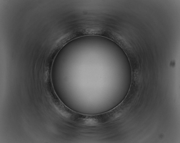X0000093590741200710221523
