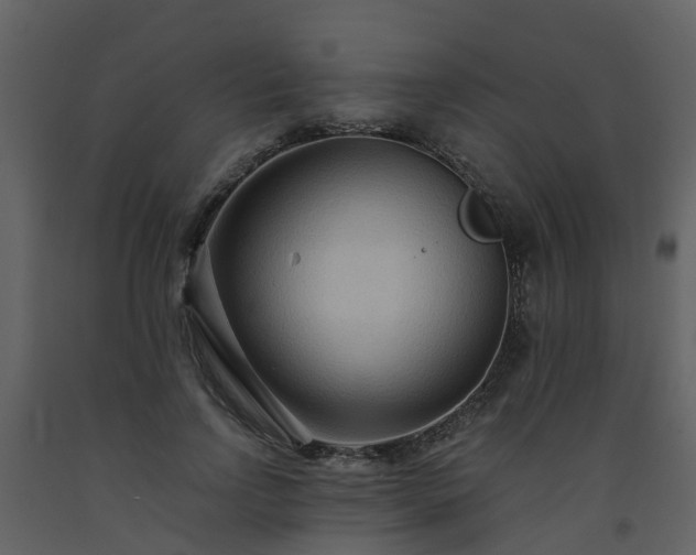 X0000093590742200710221523