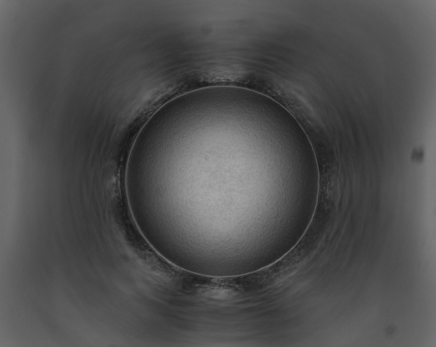 X0000093590743200710221523