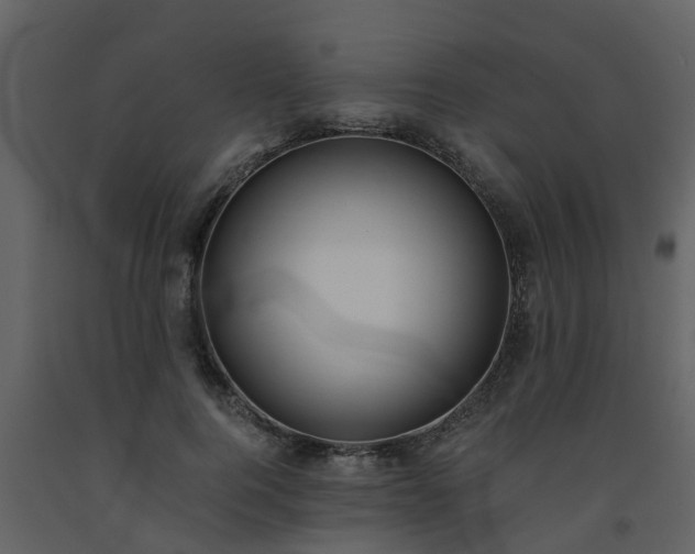 X0000093590744200710221523