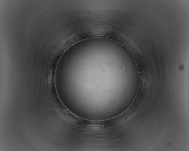 X0000093590745200710221523